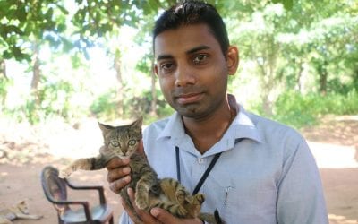 සරණ with අසරණ සරණ