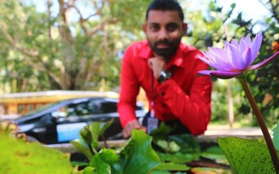 නිල් මානෙල් මලයි, රතු රෝස මලයි