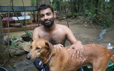 කොරෝනා හින්දා අන්තිමේදී ගෙදර ඉන්න බල්ලොත් නාවන්න වුණා