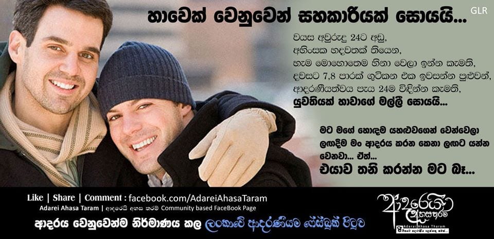 හාවෙක් වෙනුවෙන් සහකාරියක් සොයයි