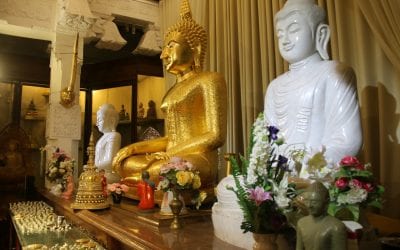 සිරි දන්ත දාතුන් වහන්සේ වැඳ පුදාගන්න අද උදෑසනම දළදා මාළිගාවට ආවා