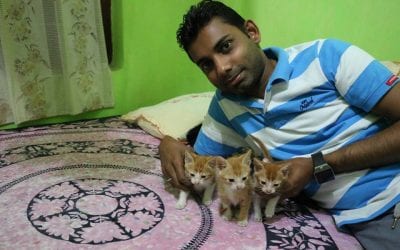 අපේ ගෙදර නවතම සාමාජිකයෝ