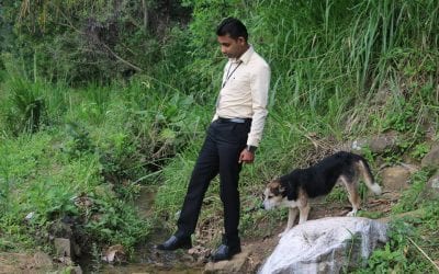 ගවයින් භාරදීමට පවුලක් සෙවීමට යන ගමන්