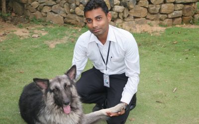 අද හොඳ බල්ලෙක් අල්ලගෙන හුරතල් කලා