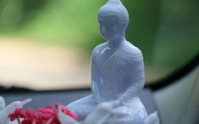මගේ වාහනය ඇතුලත