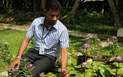 මගේ ආසම මල