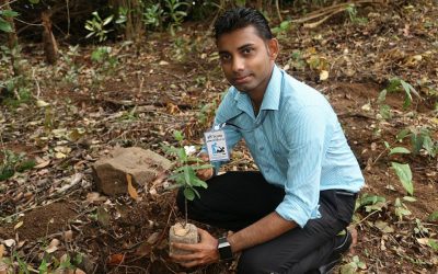 පරප්පුදූව හරිත වනයක් කිරීමේ ව්‍යාපෘතිය – Phase 1