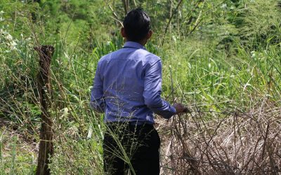 බව්වා නෑ