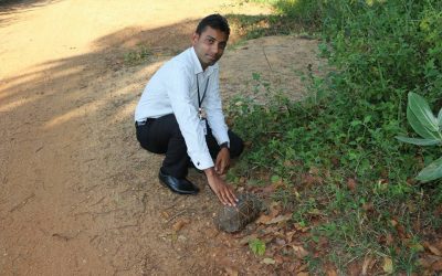 තවත් තාරකා ඉබ්බෙක් පාර මාරු කලා