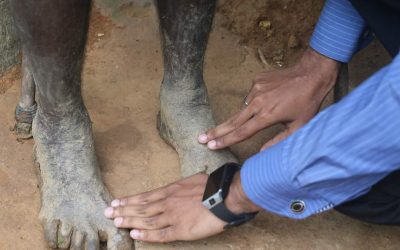 ආශිර්වාද